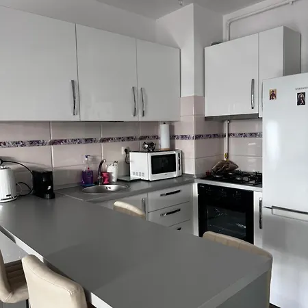 公寓 Apartament 2 Cu Balcon 克卢日-纳波卡
